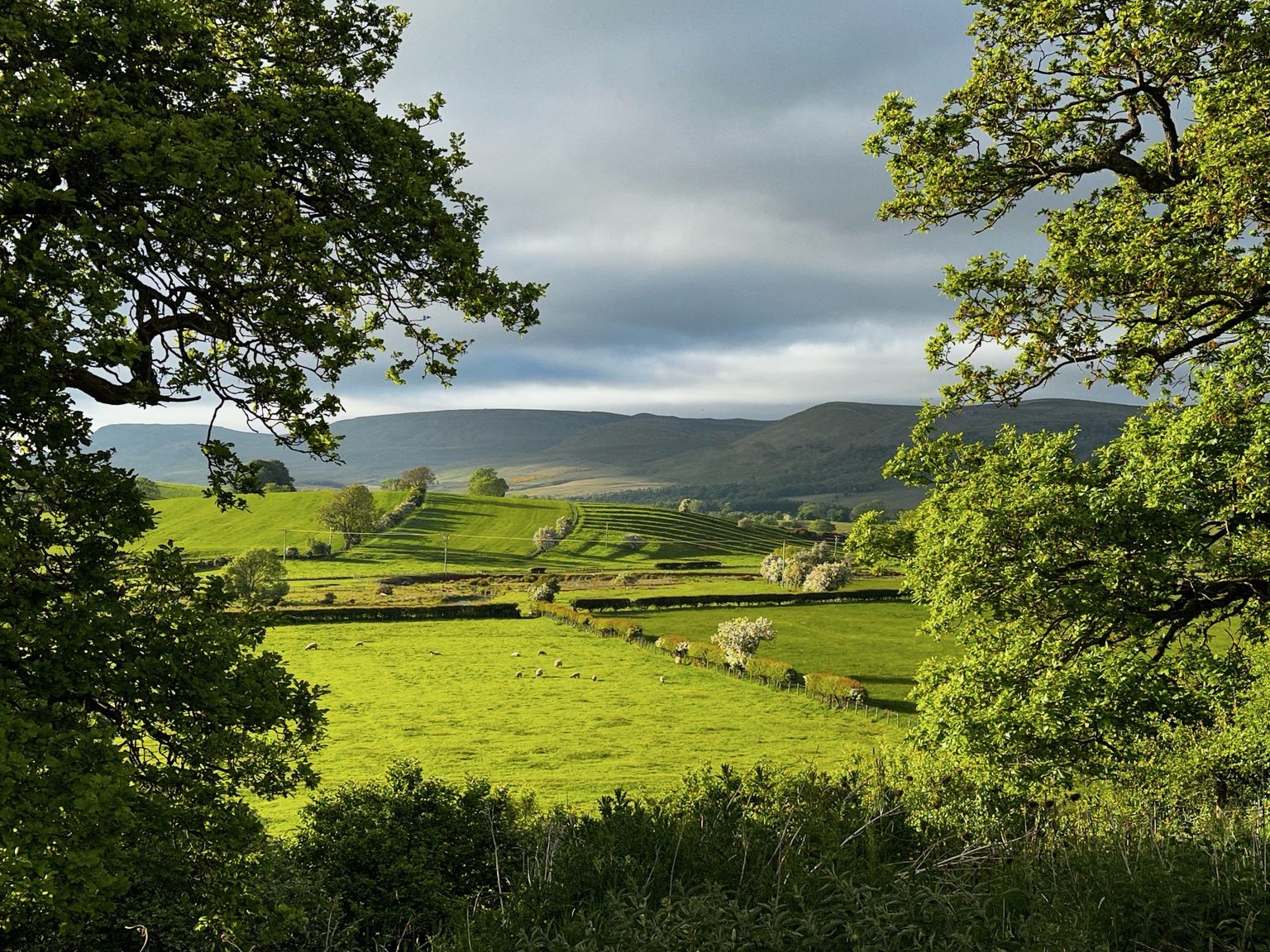 Fells near Musgrave